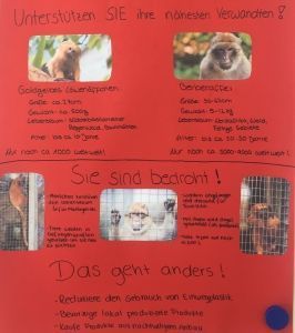 Ausschnitt eines Infoplakats