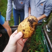 Garten-AG